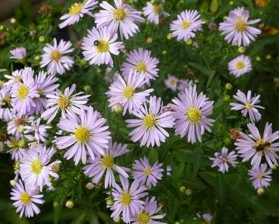 Les jours se suivent et se ressemblent...La météo est tou...