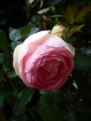 Les jours se suivent et se ressemblent...La météo est tou...