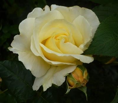 Les jours se suivent et se ressemblent...La météo est tou...