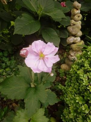 Les jours se suivent et se ressemblent...La météo est tou...