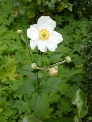 Les jours se suivent et se ressemblent...La météo est tou...