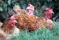 La photo du dimanche #12 - I'm flying solo