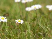 Récap photos (septembre 2011)