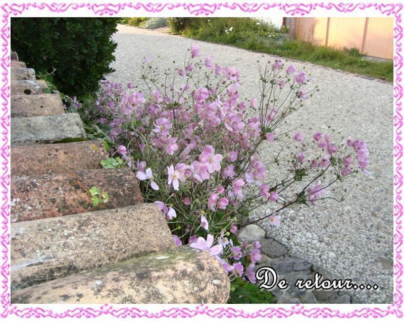 De retour parmi vous, 18 septembre 2011