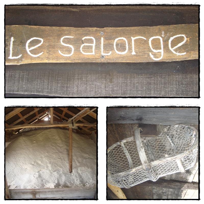 Visite des salines des Sables d'Olonne, 5 septembre 2011