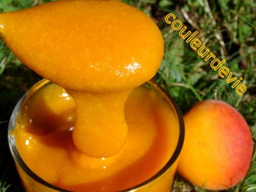 Panna cotta à la fleur d’oranger et son coulis d’abricots