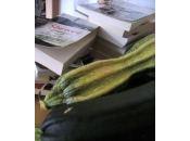 C’était dimanche… c’est déjà lundi!