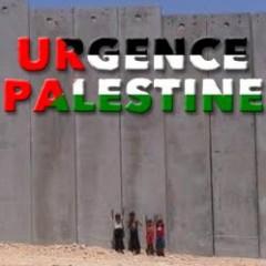 Palestine,ONU, LDH