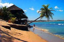 Un Brésilien de 90 ans a eu 50 enfants avec 4 femmes !