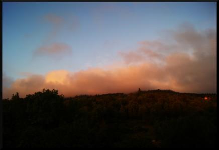 brouillard qui s'accroche