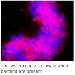 INFECTIONS et innovation: Un pansement lumineux pour voir les bactéries – British Science Festival