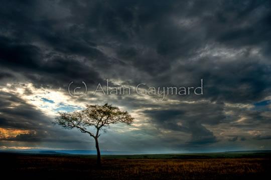 Sélection Darqroom Pixfan #36