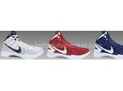 Nike Zoom Hyperdunk 2011 (Team) dispos