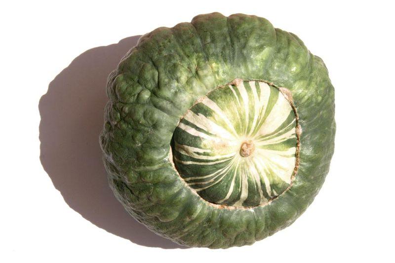 PUMPKIN MARINA DI CHIOGGIA