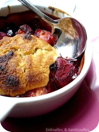 cobbler peche de vigne 170911