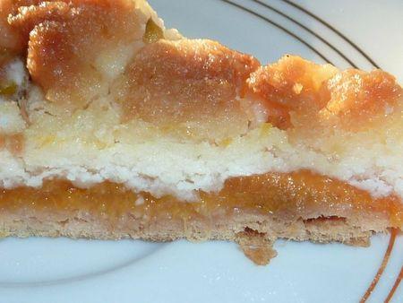 Tarte crumble aux abricots P1100103