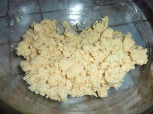 Tarte crumble aux abricots P1100033