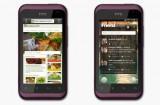 ryme 160x105 Le HTC Rhyme officiel