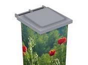 Belle comme poubelle