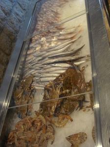 20091006 chez sami 0etal Chez Sami, Maameltein, Liban (ChrisoScope)