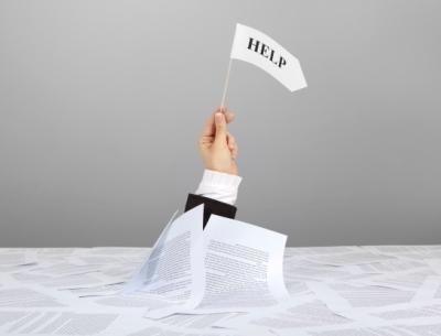 recutement animation sportive