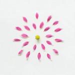 Untitled Purple Flower Exploded 620x620 150x150 Underwater Sculpture : quand lart fait corps avec la nature arty underwater scupture Art 