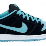 nike sb summer 2012 12 150x150 Nike SB Aperçu Eté 2012 