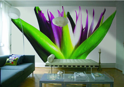 Les Plafonds Tendus Design par Zunava