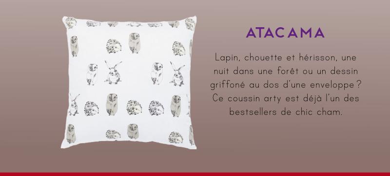 déjà un de nos bestsellers !