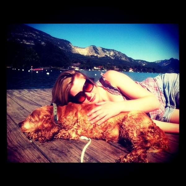 cookies stéphanie les fauves mondains