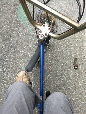 271956_1613121947018_1805379855_1018804_3852702_o