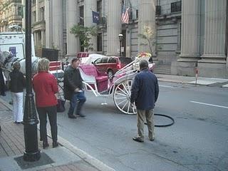 De voiles et de calèches