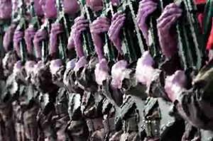 allegeance-aux-armes-idees-farfelues-ump