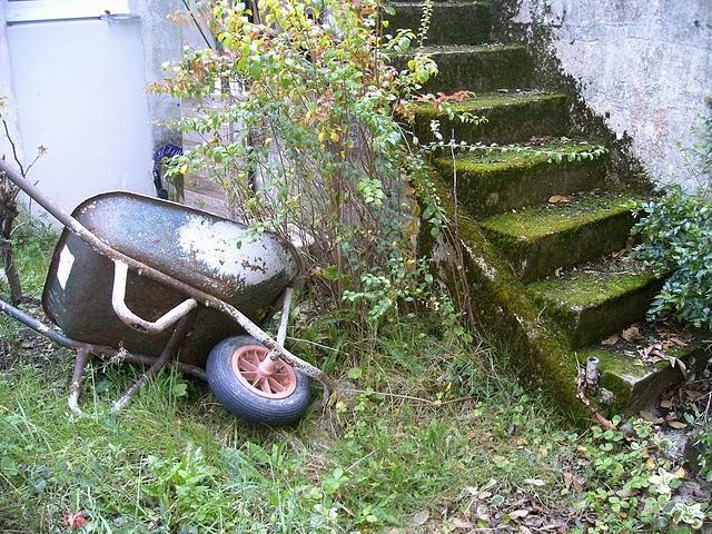 c'est l'automne, tout le monde descend