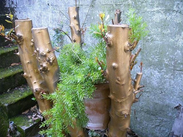 c'est l'automne, tout le monde descend