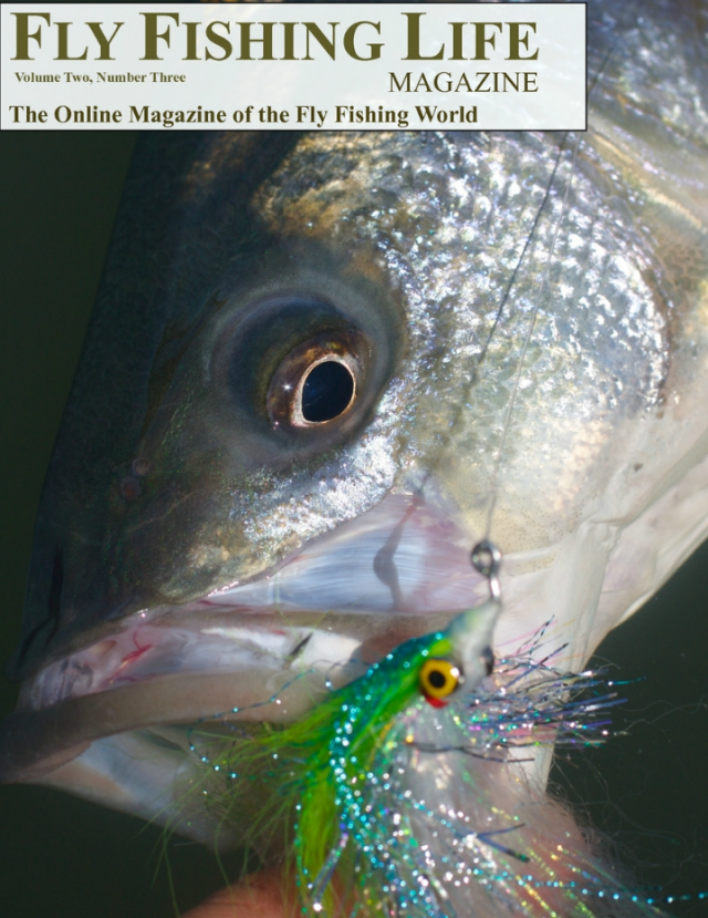 FLY FISHING LIFE MAG.