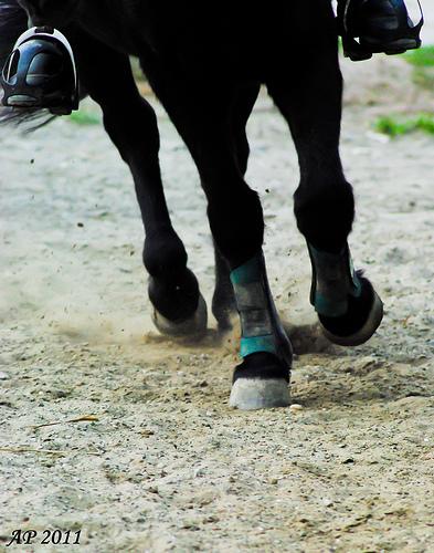 Travail de l'allure / Speed Work