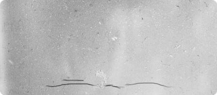 retour-blog-anim_220911