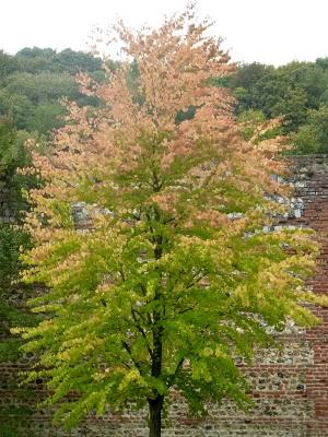 Se promener,S'aérer,Observer,Admireren quête de Nature,de...