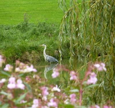Se promener,S'aérer,Observer,Admireren quête de Nature,de...