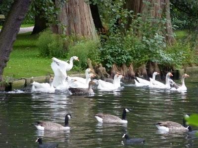Se promener,S'aérer,Observer,Admireren quête de Nature,de...