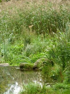 Se promener,S'aérer,Observer,Admireren quête de Nature,de...