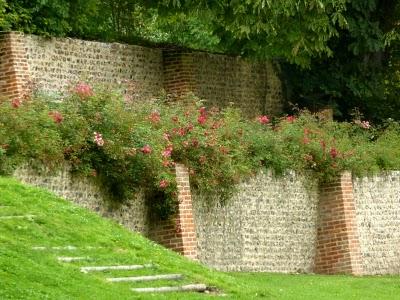 Se promener,S'aérer,Observer,Admireren quête de Nature,de...