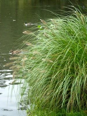 Se promener,S'aérer,Observer,Admireren quête de Nature,de...