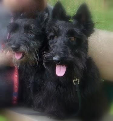 Se promener,S'aérer,Observer,Admireren quête de Nature,de...