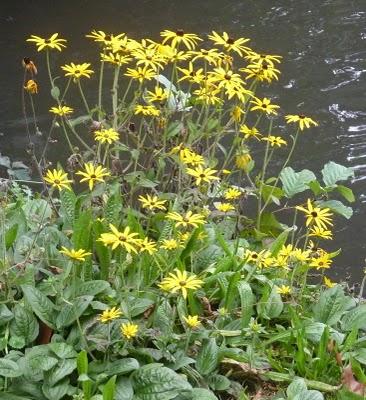 Se promener,S'aérer,Observer,Admireren quête de Nature,de...