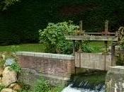 promener,S'aérer,Observer,Admireren quête Nature,de...