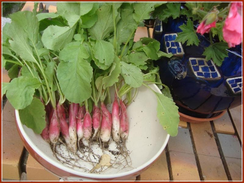 C'est l'automne, 23 septembre 2011