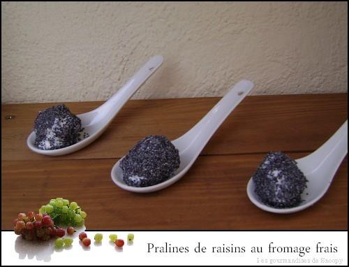 Pralines-de-raisins-au-fromage-frais.jpg