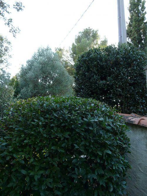 Temps estival et... travaux d'automne ! Journal du 23 septembre 2011